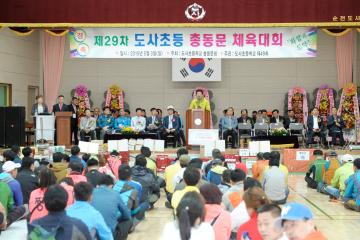 도사초등학교 총동문체육대회