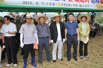 2012년 조기재배 단지 첫 벼베기 행사
